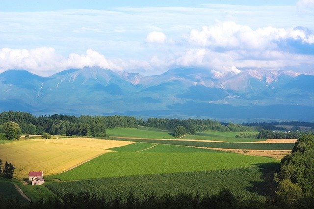 中川郁子の選挙区北海道